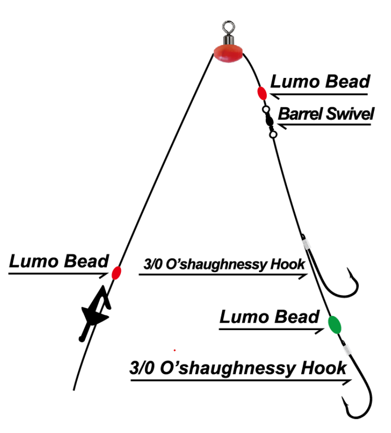 Snapper Gummy Shark Rig Gummy Shark Rod Land Based Shark Fishing