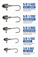 MasterPro 50PCS Jig Head Value Pack – 5 Popular Sizes | Bonus Tackle Box | Australian Waters Ready