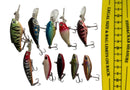 MASTERPRO BroomPack Bream Hard Lure Pack 10pc – Popper, Shallow Crankbait & VIB