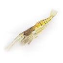 MASTERPRO Soft Plastic Shrimp Lures 9cm – 10 Pack Lifelike Design | Realistic Colour | Salt & Fresh Water Ready Bonus Fishing Tackle Hook - Bait Tackle Direct