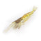 MASTERPRO Soft Plastic Shrimp Lures 9cm – 10 Pack Lifelike Design | Realistic Colour | Salt & Fresh Water Ready Bonus Fishing Tackle Hook
