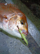 10X Masterpro Reef & Snapper Running Lumo Fishing Skirt Rigs Double Octopus Hooks - Bait Tackle Direct