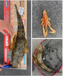 15pcs 8cm Fishing Soft Plastic Yabbie Lure Tackle Special W 10Jig heads - Bait Tackle Direct