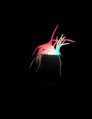 MasterPro UV Fill Light – Rechargeable Bait-Illuminating LED Light - Bait Tackle Direct