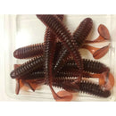 24x Fishing Soft Plastic Paddle Tail Grub 75mm On 3 Colour Scented Fishing Lure - Bait Tackle Direct