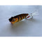 5 X Fishing Small Size Popper Lures For Estuary Surface Fishing Bream Whiting.A - Bait Tackle Direct