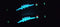 2pcs Squid Jigs Shrimp jig Luminous body Glow in Dark 3.0, 3.5 BLUE - Bait Tackle Direct