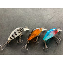 3 x Crankbait lures Shallow Hardbody 35mm Fishing Tackle - Bait Tackle Direct