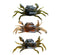 3 x Artificial Simulation Soft Plastic Crab 3D Lure 32g Hook 3 Colours Fishing Tackle - Bait Tackle Direct