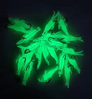 Azuna  20pcs Soft Plastic Luminous mini Shrimp Fishing Lure with hooks 40mm - Bait Tackle Direct